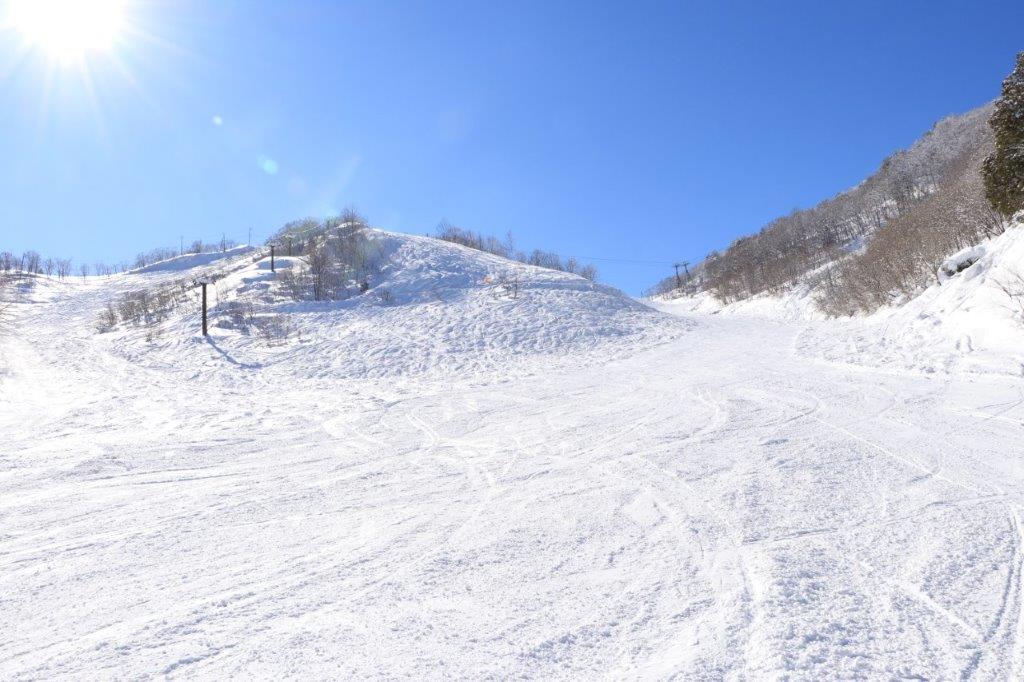 1月1日 沢/HIKAGEコース オープン!