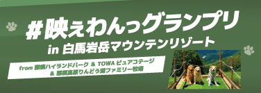 #映えわんっグランプリ